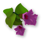 08-flower